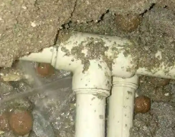 永城测漏水多少钱