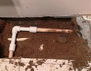 永城测漏水哪家好