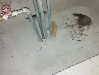 永城卫生间测漏水价格明细